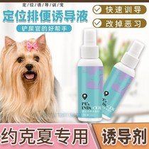 Yokha dedicated to training toilet defecation defecation of dog-inducing doses of toilet lotion to guide pets urinating