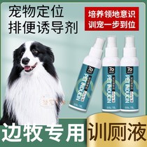 Side pastoral special dog bowels Toilet Pointing Defecation Inducing Agent Pet Poo 1 mess of potty training toilet liquid