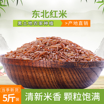 Northeast red rice 5kg farmhouse new rice red rice red rice blood rice brown rice black rice red rice whole grains