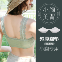 Beauty back underwear womens summer thin models without steel ring small chest gathering lace tube back with chest pad thick bra