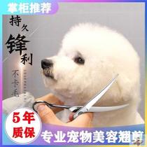 Pet Beauty Scissors Dog Hair for a small pooch haircut yourself cutting a fur bigot teddy trimming suit