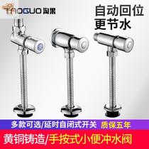 Brass Flushing Valve hand-pressed toilet toilet switch urinal flushing valve delayed urinal Press