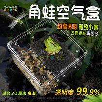 Corner Frog Rearing Box Feeding Case View Corner Frog Turtle Salamander Tank Amphibious Special With Sundae Biochemical Cotton