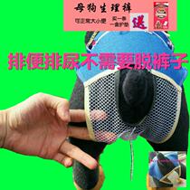 Dog cotton health pants can be defecate net bag Siamese menstrual pants sanitary pants anti-harassment contraception four-legged clothes