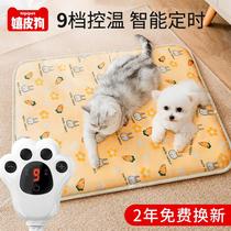 Pet puppet cat den kennel cold electric blanket electric pad cat waterproof heating pad English short Garfield fertilizer gradually layer