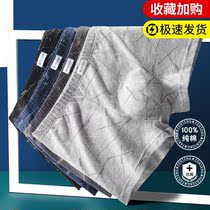 Pure cotton Guangdong Shantou underpants male antibacterial spring summer season loose flat angle pants high-end big code four-corner shorts head youth