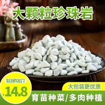Large-particle perlite gardening vermiculite special soil for fleshy orchids large-pack nutrient soil for flower cultivation