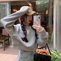 Student loose thin round neck sweater female tide ins spring and autumn 2021 new small man high waist sweet and spicy