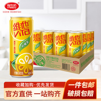 Vita lemon tea drink 310ml*24 cans full carton official flagship store summer ice products