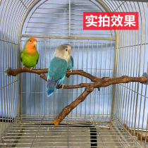 Bird Station Pole Grape Wood Tiger Skin Peony Xuanfeng Parrot Station Natural Branch Standing Pole Bird Toys Bite