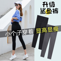 80% small sub shark skin whipped bottom pants woman outside wearing spring and autumn thin suede collection with hip and glute and yoga Barbie 90%