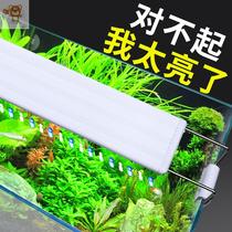 Fish tank three primary color color change lamp Blue and white lamp brightening led lamp Full spectrum aquatic plant lamp Koi butterfly carp lamp 