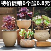 Rough Taurine Burning Multi-Meat Plant Ceramic Flower Pots New Minima Creative Potted Green Plant Green Thumb Small Fry
