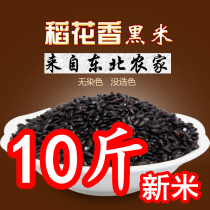 Xinmi Northeast black rice farmers produce five grains black fragrant rice rice porridge black brown rice in bulk 10 kg