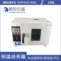 (Whale control instrument) electric heating constant temperature incubator 303 series blast drying oven oven 101 202 series