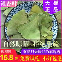 Chinese herbal medicine Ginkgo biloba leaves without smoked sulfur Ginkgo biloba leaves Ginkgo biloba yellow essence tea New 500g grams ginkgo biloba fruit