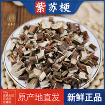 Perilla terrier 500g g Hebei Perilla terrier Perilla rod Perilla stem Non-wild Chinese herbal medicine authentic origin dry goods New goods