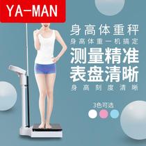 Kindergarten health room electronic weighing scale height scale measuring instrument adult children health fitness