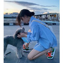 Pregnant Woman Spring Clothing Fashion New Blouses Loose Korean version blue shirt with slim cover Damp Mother Shirt Summer Thin