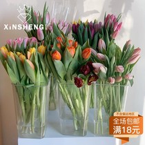Han Style High Transparent Flower Barrel Pc Resistant Flower Vase Flower Shop Supplies Professional Wake Up Flower Materials Home Flower Arrangement Decoration