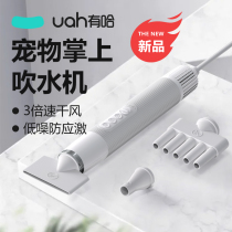 uah has Ha pet blower hair dryer cat drying box dog dryer high power silent bath artifact