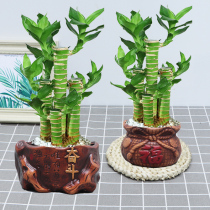 High-step high-precious bamboo earth peanut plant good feed gift basin lazy water absorption ceramic basin