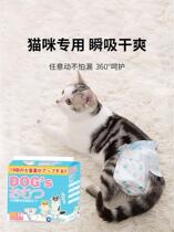Kitty pants diaper menstrual pants dog aunt towel male cat cat cat small kitten diapers