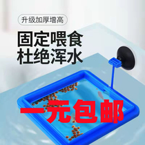 Feeder fish tank feeding circle small mini fish feeding circle open floating fish food feeding circle with suction cup