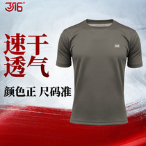 Ji Hua 3516 physical training suit suit summer cotton short sleeve men and women quick-drying breathable round neck sports T-shirt shorts