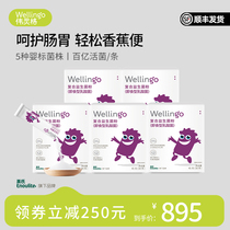 wellingo Wellingo British childrens probiotics 5 boxes of freeze-dried powder to care for babys gastrointestinal infant granules