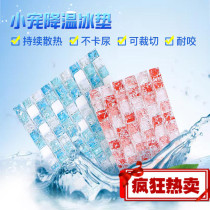 Pet summer ice mat ice bed rabbit ChinChin hamster golden silk Dutch pig bear cooling board cooling supplies