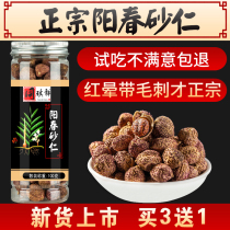 Yangchun Amomum Amomum Amomum Amomum Amomum Amomum spring Amomum Amomum spring Amomum seed raising Chinese herbal medicine stomach soup 100 grams