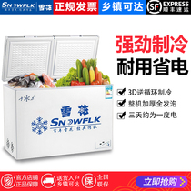 Snowflake double temperature freezer household double door refrigeration freezer fresh-keeping small dual-purpose large-capacity commercial horizontal energy saving