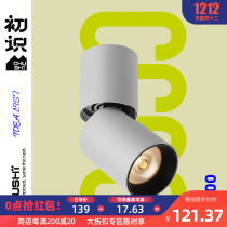First-seen lighting led household spotlight Nordic living room ceiling ceiling lamp corridor aisle cob lamp