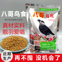  STARLING feed bird food special bird feed wren bird feed starling food special bird food nutritional bird feed 500G