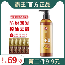 Overlord ginger shampoo Shampoo Anti-dandruff anti-itching oil control anti-stripping shampoo refreshing and long-lasting for men and women