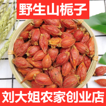 Wild Gardenia 500g Chinese herbal medicine mountain Gardenia yellow gardenia fruit tea red Gardenia powder coloring edible spices marinated meat