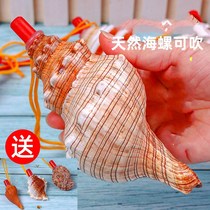 Natural conch shell whistle red spiral snail horn children's toy performance props