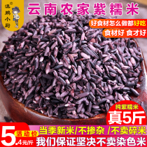 2500g purple rice new rice Purple glutinous rice Yunnan specialty old variety purple rice blood glutinous rice Black rice glutinous rice rice 5 pounds