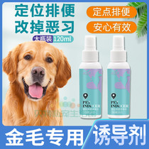 Golden Hair Special Anti-Mess Laggy Upper Toilet Inducing Agent Fixed Point Defecation Training Location Training Toilet Fluid Pee Urine Guide