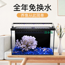 Fish tank living room small water-free water with lid aquarium office desktop bare tank self-circulation ecological goldfish tank Super White
