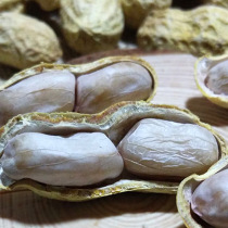  Thank you bear boiled peanuts Longyan white dried salt and dried five garlic salty crisp peanuts with shell leisure snacks small specialty