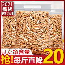 (Afghan pine nuts) new bags net heavy hand peeling Brazilian pine nuts 500g large granular nut snacks specialty