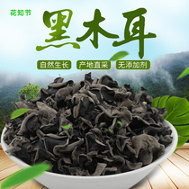 Huanzhi Festival Hubei native specialty dry black fungus dry goods 250g super wild small Bowl ear autumn ear dry fungus bulk Bulk