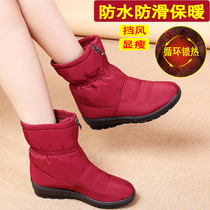 Waterproof snow boots women 2021 new winter warm shoes mother shoes plus velvet padded non-slip thick bottom cotton boots cotton shoes