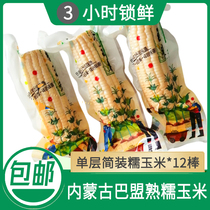 Simple 12 autumn taste Inner Mongolia single layer vacuum cooked yellow glutinous corn fresh sweet corn rice stick manufacturers