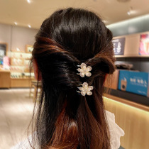 Flowers Water Drill Small Grab Clip Woman New Liu Haiclip Forehead Broken Hair Clip Hair Clip Accessories Mini Side Clip Card Hairpin Shark Clip