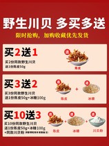 Buy 3 get 2 real Sichuan Fritillaria Sichuan Sichuan shell powder Chinese herbal medicine Songbei rice shell 10g non