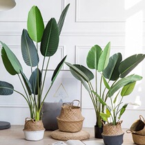 Nordic simulation green plant Potted plant Plantain Tiantang Birds living room Home Decorative Pendulum emulated Tree Fake Plant Bonsai