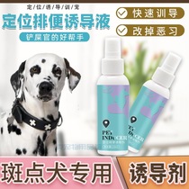 Spot dog special training on toilet positioning pull poop dog inducers Toilet Fluid Guide Urine agent guide defecation